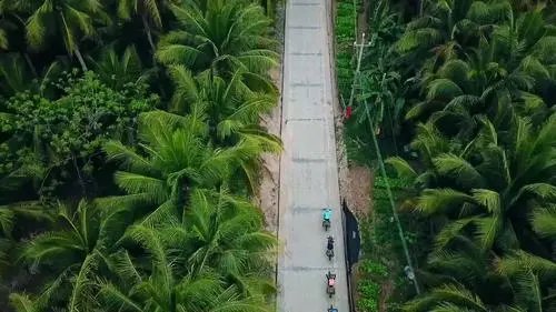 海南岛骑行路线全攻略：探索东、中、西线的美丽风光与独特文化..