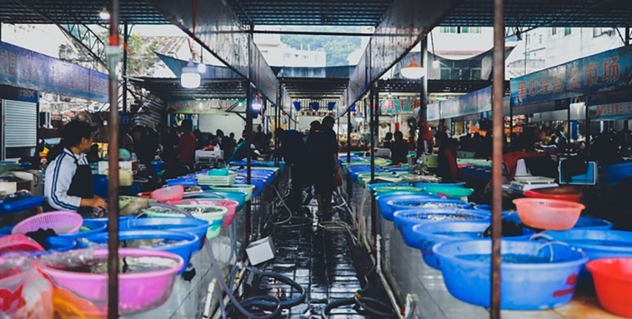 涠洲岛
